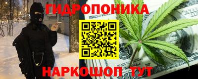 хмурый Малоярославец