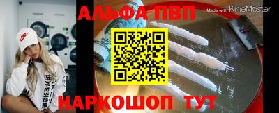 стаф Малгобек
