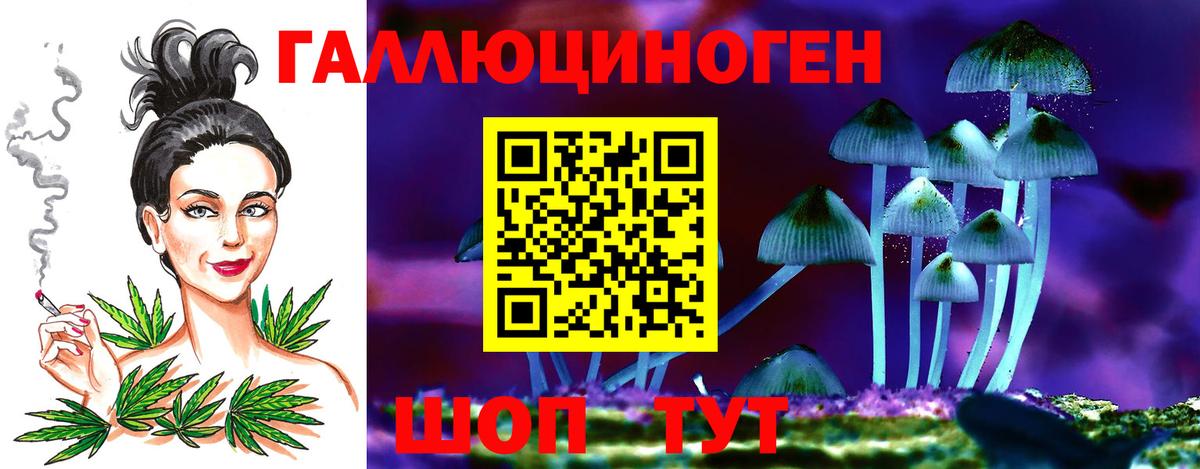Усть-Илимск  Галлюциногенные грибы GOLDEN TEACHER  Вход с VPN  дарнет шоп  Псилоцибиновые грибы мицелий 